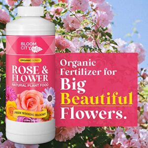 Rose & Flower Natural Plant Food for Prize Winning Blooms in Homes & Gardens by Bloom City, Quart (32 oz)