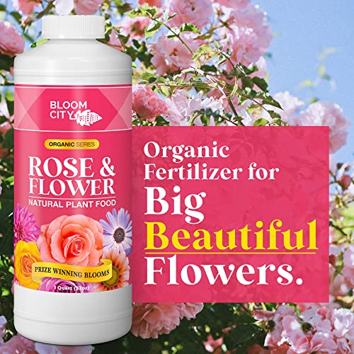 Rose & Flower Natural Plant Food for Prize Winning Blooms in Homes & Gardens by Bloom City, Quart (32 oz)