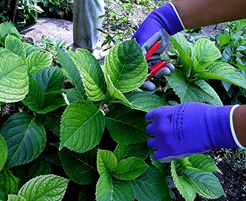 WILDFLOWER Tools Gardening Gloves for Women and Men - Nitrile Coating for Protection (Medium, Purple Pair/Green Pair with White Cuff Hem)