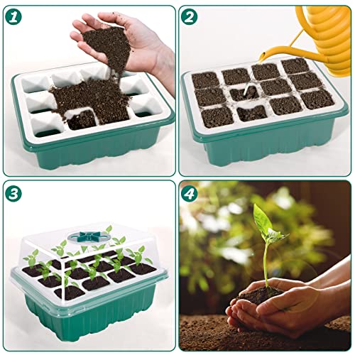 ZYP 【2023 Upgraded】 3 PCS Reusable Seed Starter Trays Kit,Soft Silicone Garden Seedling Starter Trays with Humidity Dome,Indoor Grow Kit for Plant,Flowers,Vegetables (12 Cells per Tray)