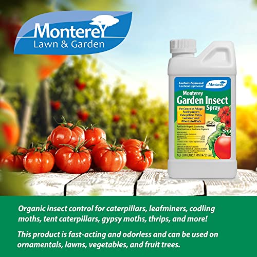 Monterey LG6150 Garden Insect Spray, Insecticide & Pesticide with Spinosad Concentrate, 16 oz