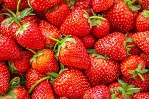 sweet red strawberry seeds 300pcs for home garden planting