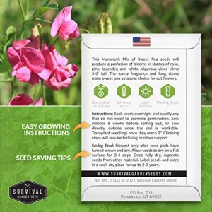 Survival Garden Seeds - Mammoth Sweet Pea Seed for Planting - Packet with Instructions to Plant and Grow Fragrant Blossoms in Your Home Flower and Vegetable Garden - Non-GMO Heirloom Variety