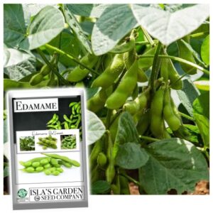 ” besweet ” edamame seeds for planting, 25+ heirloom seeds per packet, (isla’s garden seeds), non gmo seeds, botanical name: soybean (glycine max (l.), great home garden gift