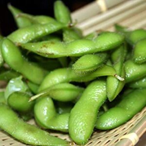 " BeSweet " Edamame Seeds for Planting, 25+ Heirloom Seeds Per Packet, (Isla's Garden Seeds), Non GMO Seeds, Botanical Name: Soybean (Glycine max (L.), Great Home Garden Gift