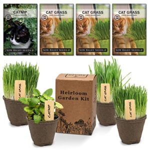 sow right seeds – heirloom garden kit for cat lovers – 4 seed packets with instructions, pots, potting soil, and plant markers – start and grow catnip and cat grass indoors – non gmo – wonderful gift