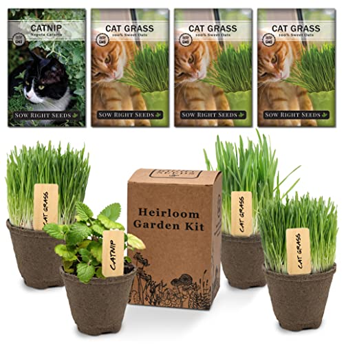 Sow Right Seeds - Heirloom Garden Kit for Cat Lovers - 4 Seed Packets with Instructions, Pots, Potting Soil, and Plant Markers - Start and Grow Catnip and Cat Grass Indoors - Non GMO - Wonderful Gift