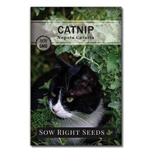 Sow Right Seeds - Heirloom Garden Kit for Cat Lovers - 4 Seed Packets with Instructions, Pots, Potting Soil, and Plant Markers - Start and Grow Catnip and Cat Grass Indoors - Non GMO - Wonderful Gift