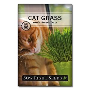 Sow Right Seeds - Heirloom Garden Kit for Cat Lovers - 4 Seed Packets with Instructions, Pots, Potting Soil, and Plant Markers - Start and Grow Catnip and Cat Grass Indoors - Non GMO - Wonderful Gift