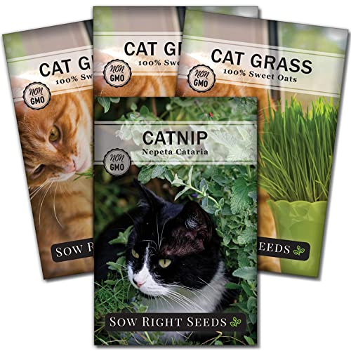 Sow Right Seeds - Heirloom Garden Kit for Cat Lovers - 4 Seed Packets with Instructions, Pots, Potting Soil, and Plant Markers - Start and Grow Catnip and Cat Grass Indoors - Non GMO - Wonderful Gift