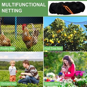 Bird Netting for Garden Protection - 25x25ft Poultry Netting for Chicken Coop, 1” Mesh Heavy Duty Garden Net, Fruit Tree Netting for Blueberry Bushes, Vegetable Against Squirrels, Deer