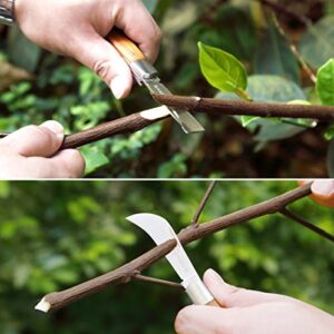 [6 Blades Enhanced] NAYE 2 in 1 Garden Grafting Tool Kit for Fruit Trees with Grafting Knife Grafting Tapes,Extra Replacement Blades Included,Professional Grafting Scissor Shear