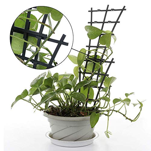 GWOKWAI 6Pcs Plant Climbing Trellis Supports, DIY Garden Mini Superimposed Potted Plant Support Plastic Pot Plant Stem Support Wire for Indoor Outdoor Vines Flower Vegetable
