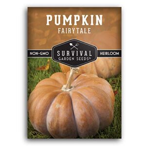 survival garden seeds – fairy tale pumpkin seed for planting – packet with instructions to plant and grow pumpkins in your home vegetable garden – non-gmo heirloom variety
