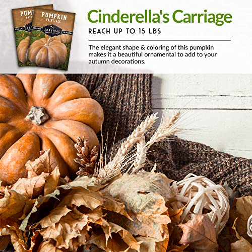 Survival Garden Seeds - Fairy Tale Pumpkin Seed for Planting - Packet with Instructions to Plant and Grow Pumpkins in Your Home Vegetable Garden - Non-GMO Heirloom Variety