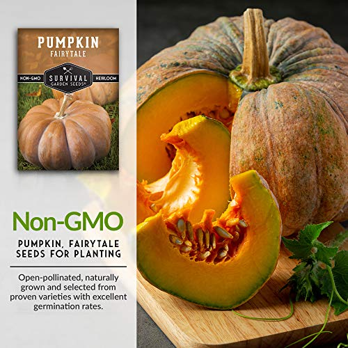 Survival Garden Seeds - Fairy Tale Pumpkin Seed for Planting - Packet with Instructions to Plant and Grow Pumpkins in Your Home Vegetable Garden - Non-GMO Heirloom Variety