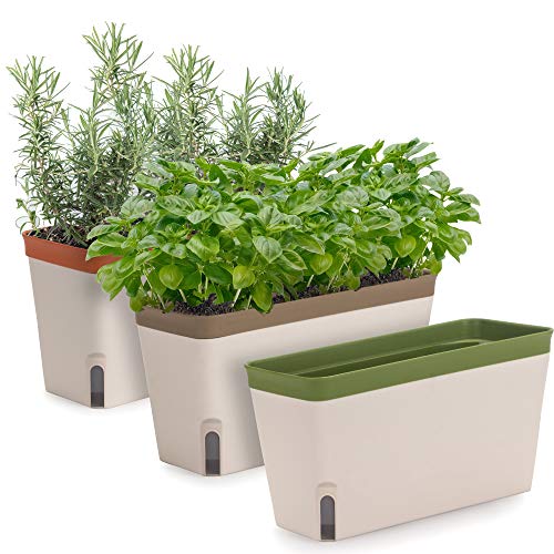 Amazing Creation Window Herb Planter Box Rectangular Self Watering Indoor Garden for Kitchens Grow Plants, Flowers or Succulents, Large Water Reservoir | Window Sill Planters Indoor | Herb Pots 3 Pack