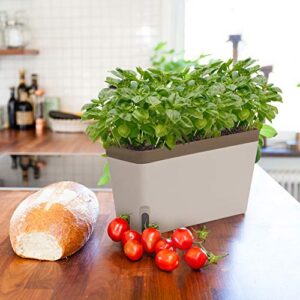 Amazing Creation Window Herb Planter Box Rectangular Self Watering Indoor Garden for Kitchens Grow Plants, Flowers or Succulents, Large Water Reservoir | Window Sill Planters Indoor | Herb Pots 3 Pack