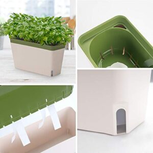 Amazing Creation Window Herb Planter Box Rectangular Self Watering Indoor Garden for Kitchens Grow Plants, Flowers or Succulents, Large Water Reservoir | Window Sill Planters Indoor | Herb Pots 3 Pack