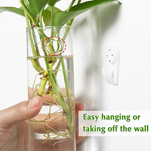 Vumdua Wall Hanging Planters, 4 PCS Glass Planters Hanging Glass Terrarium, Glass Plant Containers Wall Vase Perfect for Propagating Hydroponic Plants Home Garden Wedding Decor