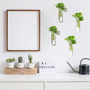 Vumdua Wall Hanging Planters, 4 PCS Glass Planters Hanging Glass Terrarium, Glass Plant Containers Wall Vase Perfect for Propagating Hydroponic Plants Home Garden Wedding Decor