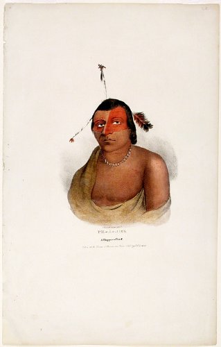 Pe-A-Jick A Chippewa Chief. Taken at the Treaty of Prairie du Chien 1825 by J. O. Lewis.