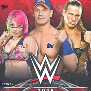 2018 Topps WWE Wrestling EXCLUSIVE Factory Sealed Retail Box with RELIC Card! Look for Cards & Autographs of WWE Superstars The Undertaker, Triple H, Jon Cena, Stephanie McMahon & Many More! WOWZZER!