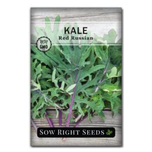 Sow Right Seeds - Kale Seed Collection for Planting - Non-GMO Heirloom Packet with Instructions to Plant and Grow a Home Vegetable Garden, Great Gardening Gift