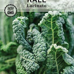 Sow Right Seeds - Kale Seed Collection for Planting - Non-GMO Heirloom Packet with Instructions to Plant and Grow a Home Vegetable Garden, Great Gardening Gift