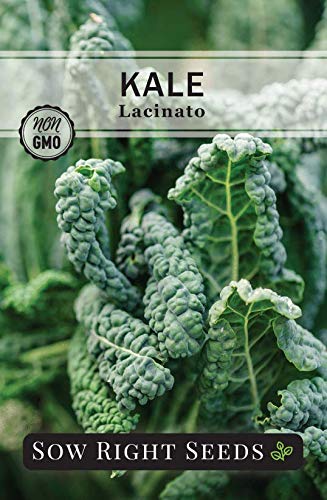 Sow Right Seeds - Kale Seed Collection for Planting - Non-GMO Heirloom Packet with Instructions to Plant and Grow a Home Vegetable Garden, Great Gardening Gift