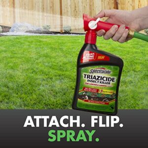 Spectracide Triazicide Insect Killer For Lawns & Landscapes Concentrate (Ready-To-Spray), Protects Lawns, Vegetables, Fruit & Nut Trees, Roses, Flowers, Trees & Shrubs, 32 fl Ounce