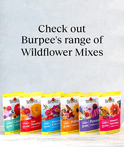 Burpee Cutting 50,000 Bulk, Multi, 1 Bag | 15 Varieties of Non-GMO Flower Perennial Wildflower Seeds Pollinator Mix | Covers 1,000 Sq. Ft, Multicolor