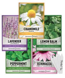 herbal tea seeds for planting indoors and outdoors 5 variety packets echinacea, peppermint, lavender, chamomile and lemon balm – great for kitchen herb garden heirloom herb seeds – gardeners basics