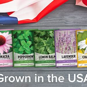 Herbal Tea Seeds for Planting Indoors and Outdoors 5 Variety Packets Echinacea, Peppermint, Lavender, Chamomile and Lemon Balm - Great for Kitchen Herb Garden Heirloom Herb Seeds - Gardeners Basics