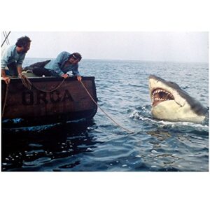 jaws (1975) 8 inch x 10 inch photo richard dreyfuss & robert shaw looking at shark off back of boat kn