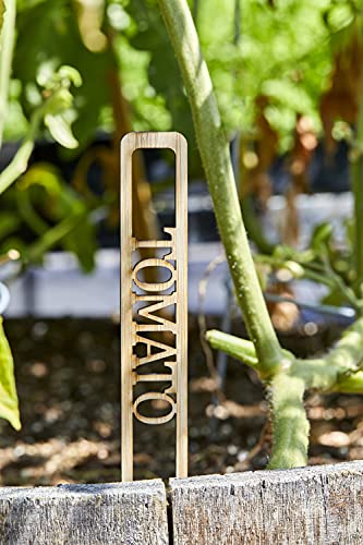 Prospero Living Garden Stakes - Premium 7 Inch Wooden Herb and Vegetable Garden Plant Labels – for Indoor and Outdoor Planters, Pots and Boxes – 25 Commonly Grown Herbs, Veggies, and Fruits.