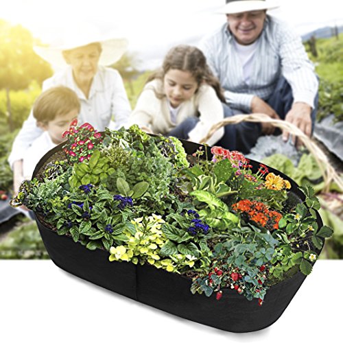 Fabric Raised Planting Bed, Garden Grow Bags Herb Flower Vegetable Plants Bed Rectangle Planter 2‘x4' (3ft x 6ft) (2ft x 4ft)