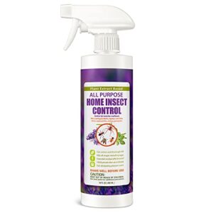 ecovenger by ecoraider all purpose insect control 16 oz, fleas, fruit flies, gnats, moths, roaches, spiders, fast kill, lasting prevention, kill eggs, plant extract based & non-toxic, child & pet safe