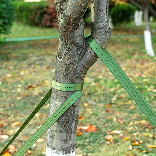 Biubee 108 Feet Long 1 Inch Wide Green Tree Tie Strap- Green Staking and Guying Material Garden Tie Plant Tie for Outdoor Use, 1763 Lbs Strength