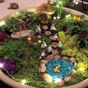 HONEYSHOW Fairy Garden Accessories Outdoor,Garden Gnomes Decorations-Mini Gnomes Garden Set/Seven Dwarfs Statue for Fairy Garden/Flower Pot/Home Decoration.