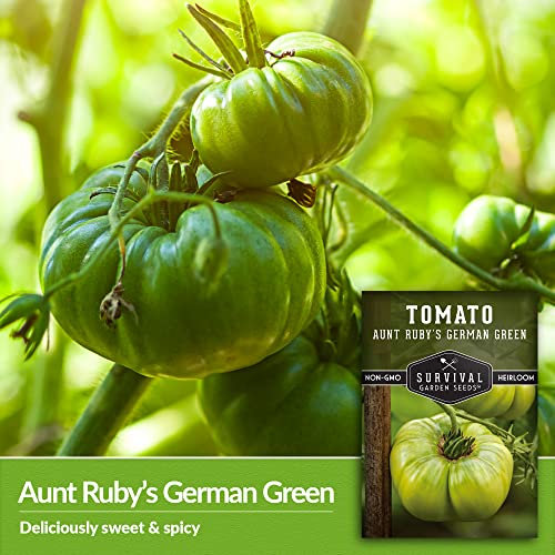 Survival Garden Seeds - Aunt Ruby’s German Green Tomato Seed for Planting - Pack with Instructions to Plant & Grow Delicious Green Tomatoes in Your Home Vegetable Garden - Non-GMO Heirloom Variety