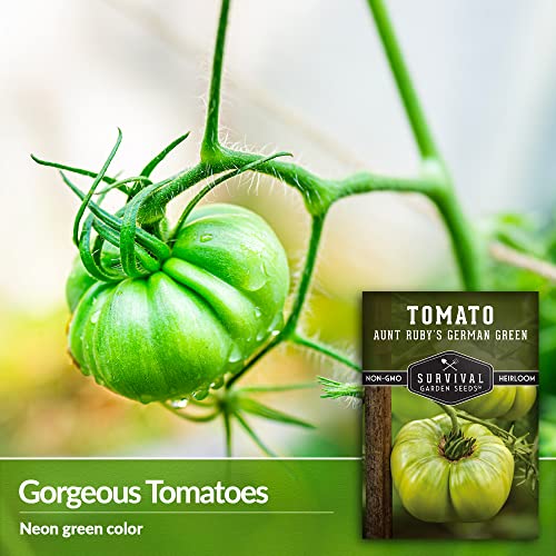 Survival Garden Seeds - Aunt Ruby’s German Green Tomato Seed for Planting - Pack with Instructions to Plant & Grow Delicious Green Tomatoes in Your Home Vegetable Garden - Non-GMO Heirloom Variety