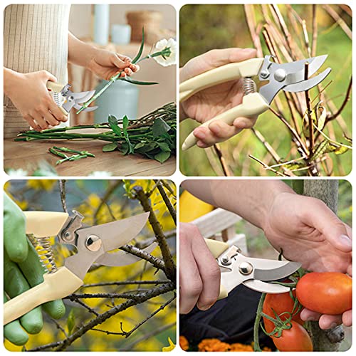 Premium garden shears, meperez pruning scissors gardening tools, pruners for flower, bushes, rose and fruit tree, use for florist, yard and orchard the plant clippers, sharp white steel anvil snips, 2