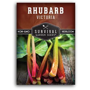 survival garden seeds – victoria rhubarb seed for planting – packet with instructions to plant and grow delicious and tangy red stalks in your home vegetable garden – non-gmo heirloom variety