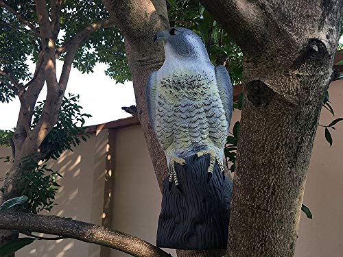 YOFIT Bird Scarecrow Fake Horned Hawk Decoy,Bird Repellent Garden Protectors, Natural Enemy Pest Deterrent Scarecrow