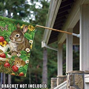 Toland Home Garden 101176 Berry Sweet Easter Flag 28x40 Inch Double Sided Easter Garden Flag for Outdoor House Spring Flag Yard Decoration