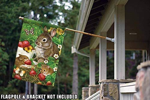 Toland Home Garden 101176 Berry Sweet Easter Flag 28x40 Inch Double Sided Easter Garden Flag for Outdoor House Spring Flag Yard Decoration