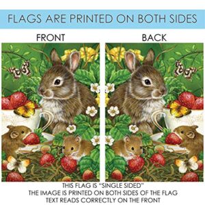 Toland Home Garden 101176 Berry Sweet Easter Flag 28x40 Inch Double Sided Easter Garden Flag for Outdoor House Spring Flag Yard Decoration