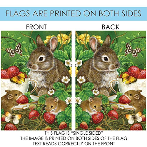 Toland Home Garden 101176 Berry Sweet Easter Flag 28x40 Inch Double Sided Easter Garden Flag for Outdoor House Spring Flag Yard Decoration