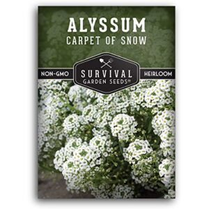 survival garden seeds – carpet of snow alyssum seed for planting – packet with instructions to plant and grow lobularia maritima in your home flower or vegetable garden – non-gmo heirloom variety
